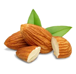 نهال بادام