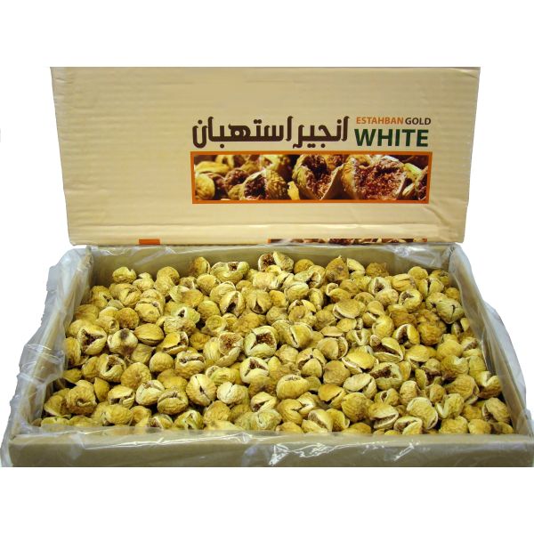 خرید نهال انجیر استهبان - Image 2