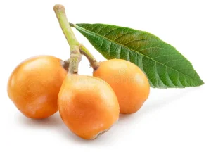 خرید نهال ازگیل ژاپنی