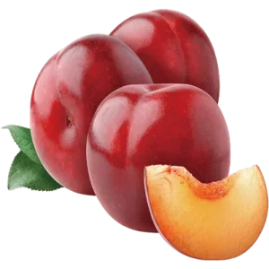 خرید نهال هلو سرخابی