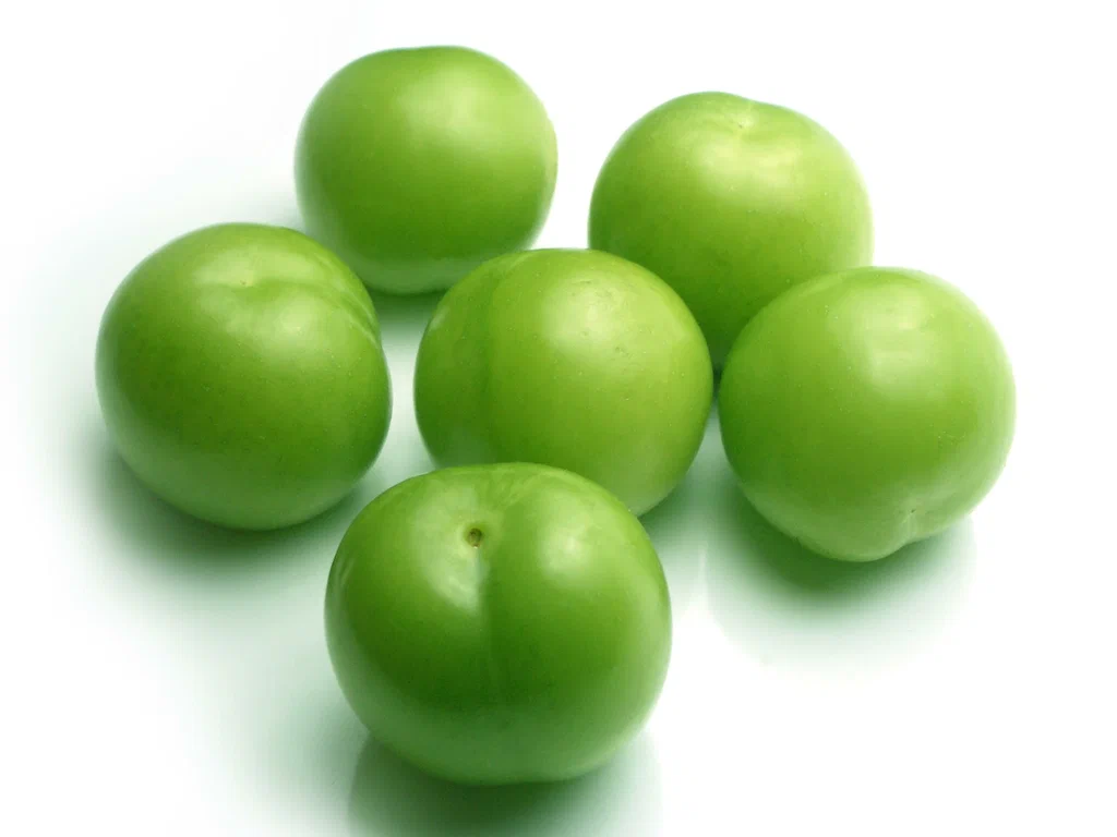 خرید نهال گوجه سبز مراغه