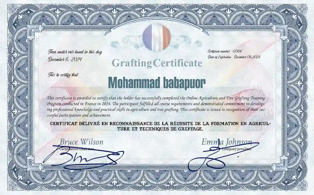 مدرک 3