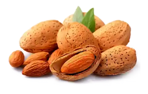 نهال بادام