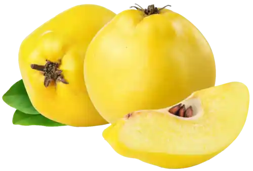 نهال بِــــه