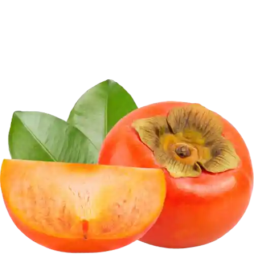 نهال خرمالو