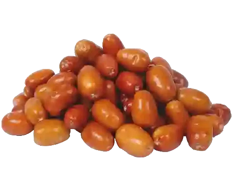 نهال سنجد