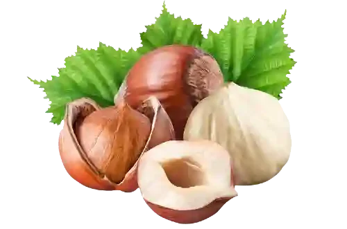 نهال فندوق