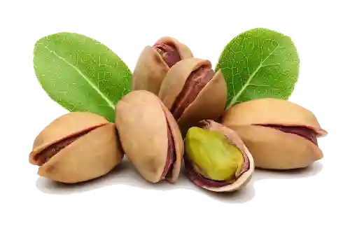 نهال پسته