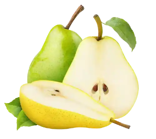 نهال گلابی