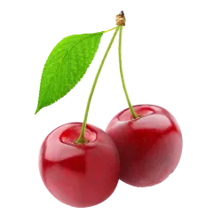 نهال گیلاس