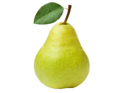 نهال گلابی